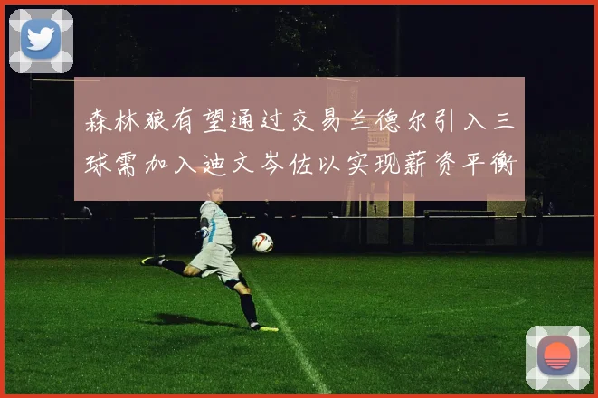 森林狼有望通过交易兰德尔引入三球需加入迪文岑佐以实现薪资平衡