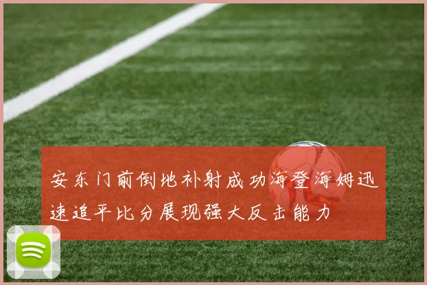 安东门前倒地补射成功海登海姆迅速追平比分展现强大反击能力